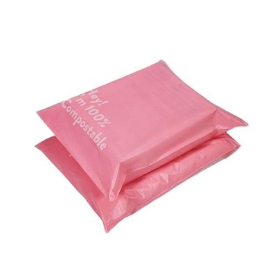 LDPE Poly Bag Envelope Waterproof Biodegradable Shipping Mailers برای لباس ها