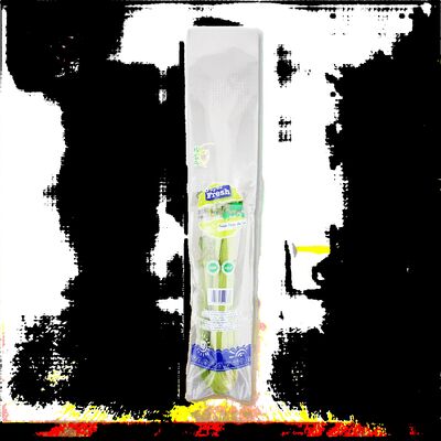 بسته بندی ساندویچ سبز تازه