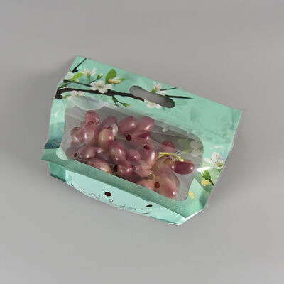 کیسه بسته‌بندی شفاف ضد مه با دستگیره زیپی برای نگهداری میوه و سبزیجات تازه با طراحی سفارشی از جنس پلاستیک درجه غذایی