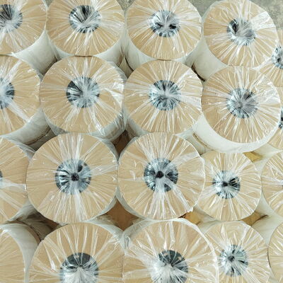 Customized Thickness Pre Opened Poly Bags with Color Printing and Heat Seal for Auto Bagger Systems